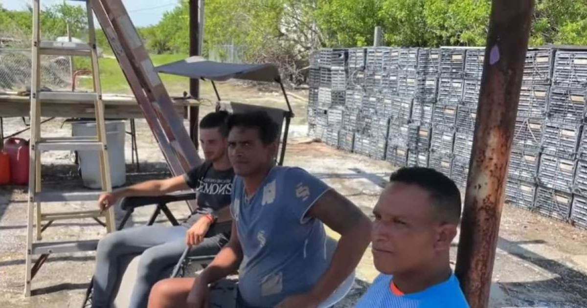 Detenidos Cinco Balseros Cubanos Tras Tocar Tierra En Los Cayos De Florida