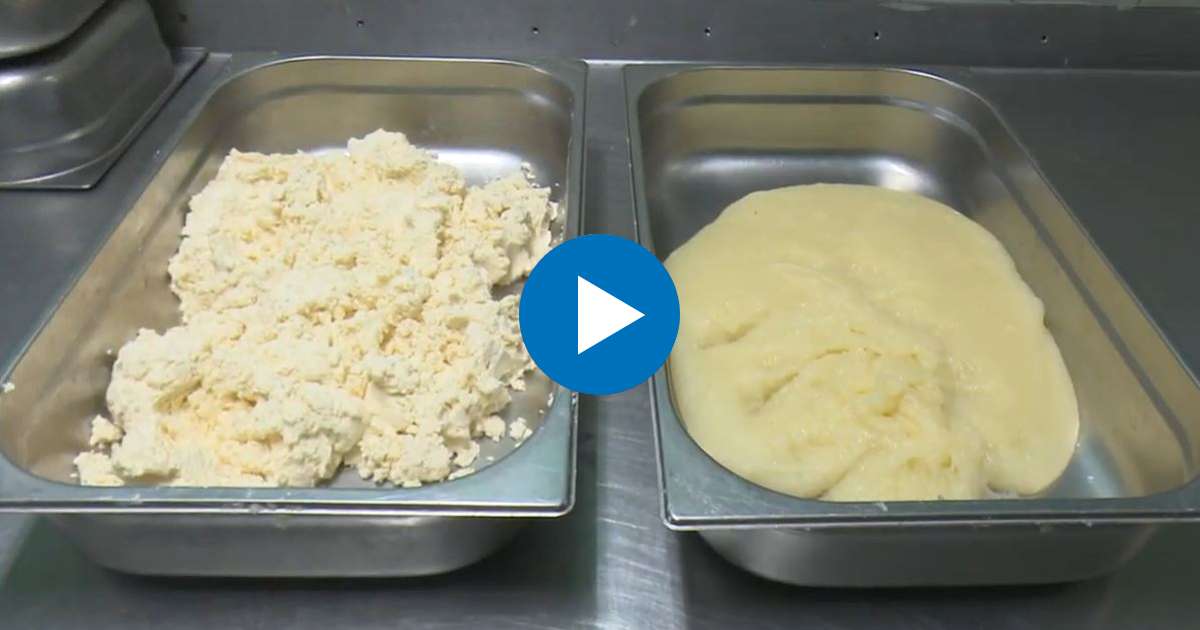 Empresa de Cienfuegos experimenta con yuca molida cocinada para hacer pan y  dulces