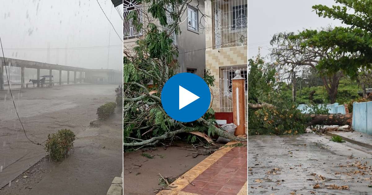 Algunos daños provocados por la tormenta © Facebook / Yaidel Miguel Rodríguez Castro