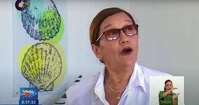 Ministra del CITMA califica incendio de Matanzas de "impacto severo" en medio ambiente