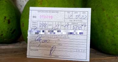 500 pesos de multa a cubano por vender aguacates de su propia mata