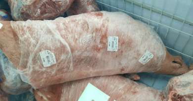 La carne de cerdo es el producto más exportado a Cuba desde España