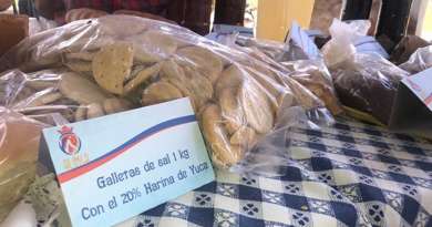 Llaman a aumentar uso de harina de yuca para elaborar galletas y panes en Ciego de Ávila