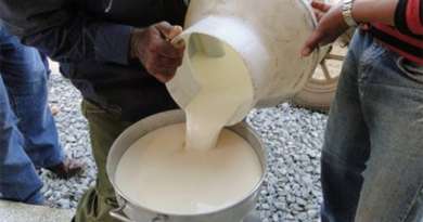 Campesinos de Ciego de Ávila se resisten a firmar contrato por venta de leche