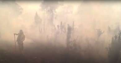 Incendio forestal consume más de mil hectáreas en Mayarí