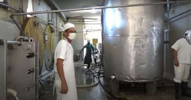 Empresa láctea de Granma produce vinagre y frutas en conserva por déficit de leche