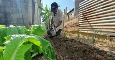 Anciano cubano sin piernas trabaja la tierra en Pinar del Río
