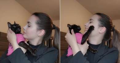 Emotivo: Animalista cubana Beatriz Batista logra reencontrarse con su gata en EE.UU.
