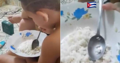"Arroz pela'o": La comida de un niño en Cuba en edad escolar
