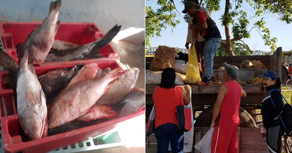 Venta de pescado y productos agropecuarios © Radio Sandino Cuba / Facebook